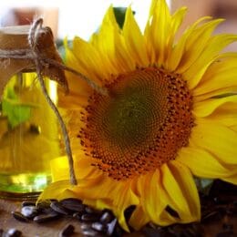 aceite de girasol