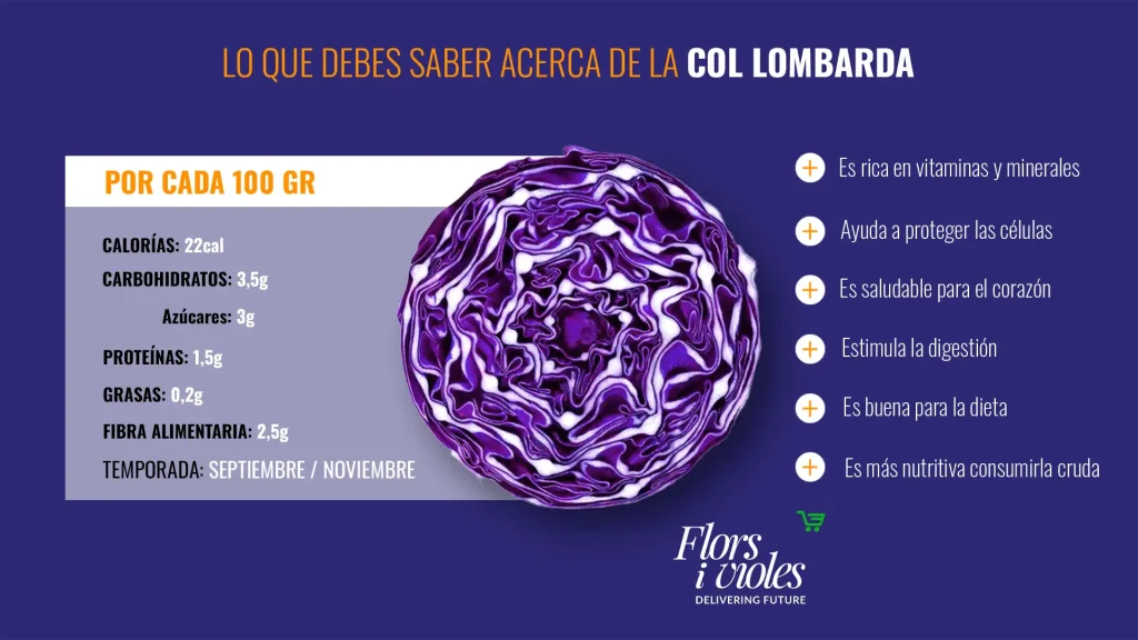 Col Lombarda, Protagonista de estas Fiestas 5 Beneficios de la Col Lombarda
